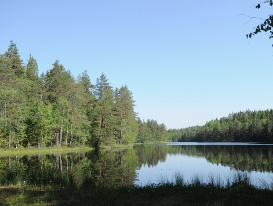 途中横切った湖？沼？