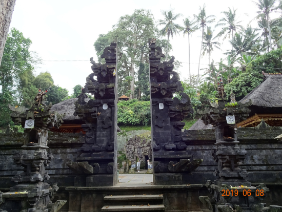 ゴア・ガシャと大木