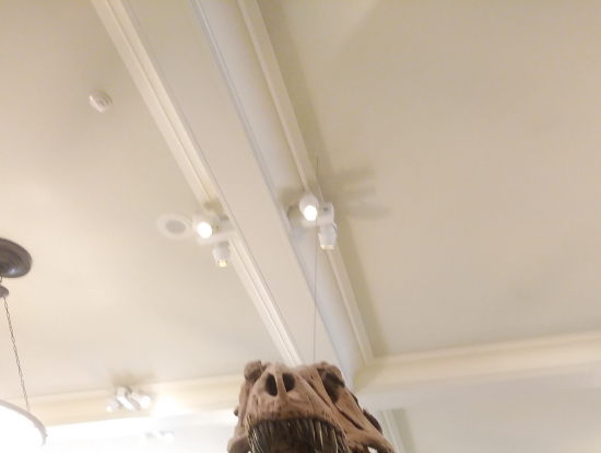 本物は、大迫力です。