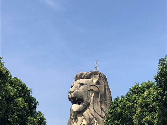 大きかったです