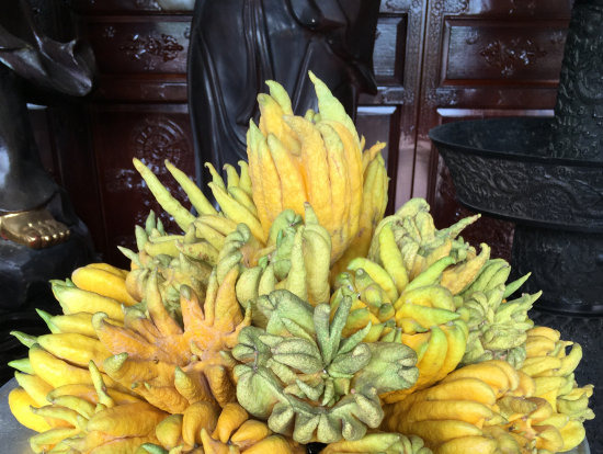 人の手に見立てているそうです。食べられません