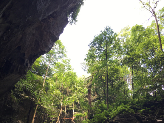 降りたあとは登ります!
