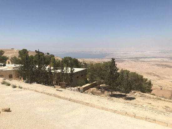 奥に見えるのが死海です