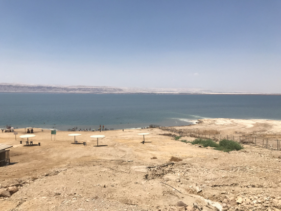 死海。浮きます(・∀・)