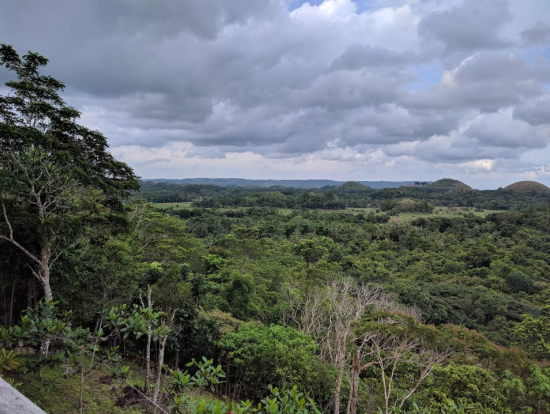 チョコレート・ヒルズ