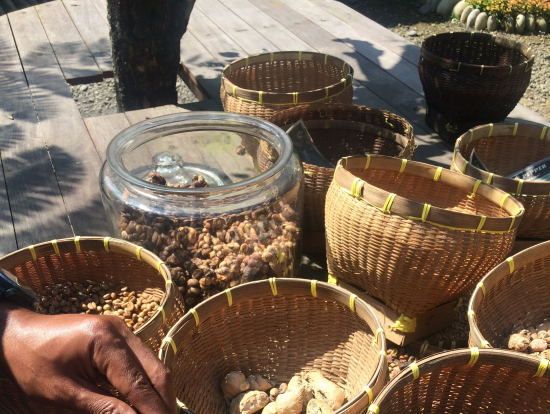 コーヒーファーム