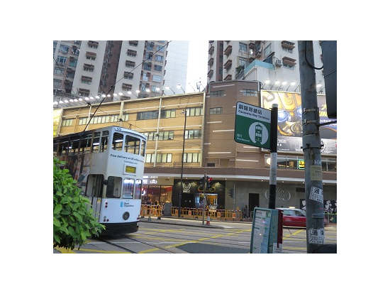 コーズウェイベイの発着地です。わかりずらいですね。