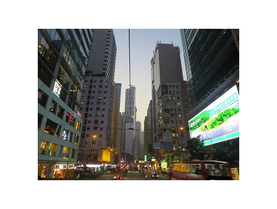 トラムがゆっくりと街を巡ります。