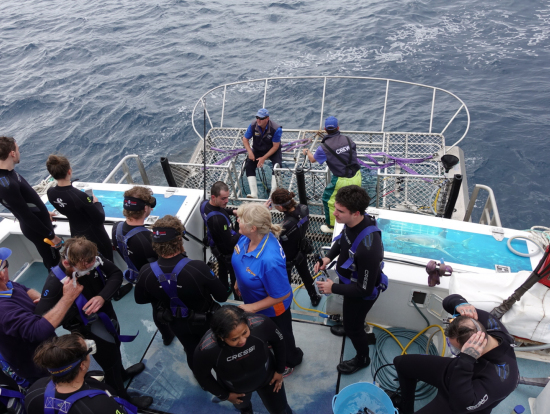 サメに会うオリを準備