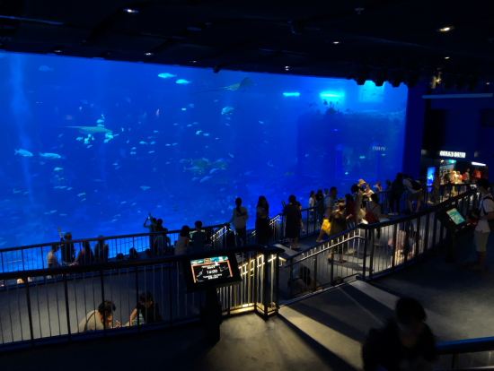 シー・アクアリウムの巨大水槽