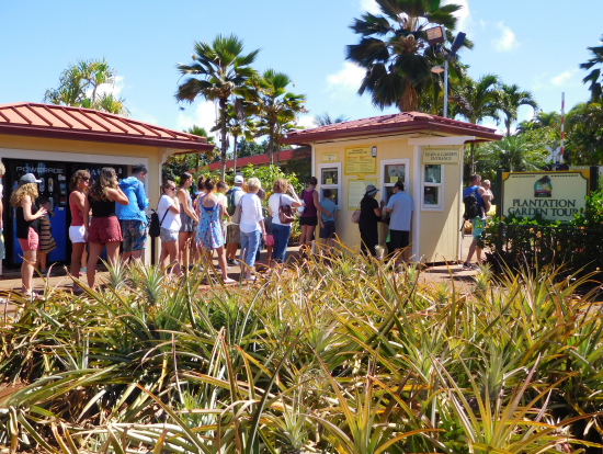 ドール・プランテーション園内をまわる電車に乗りたい人の行列