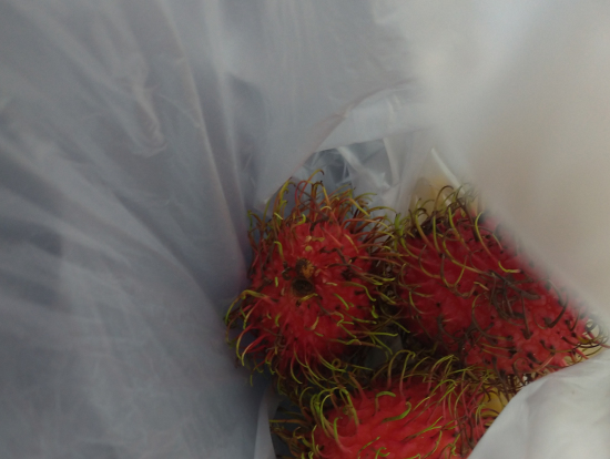 おいしいライチ