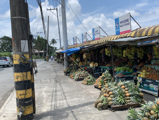パイナップルの露店