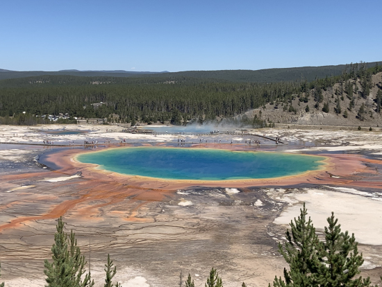 これぞアメリカ 見どころ満載のイエローストーン 旅行記事 Emo エモ 旅メディア
