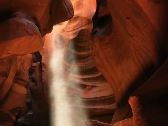 日光の角度がベストの時間帯です