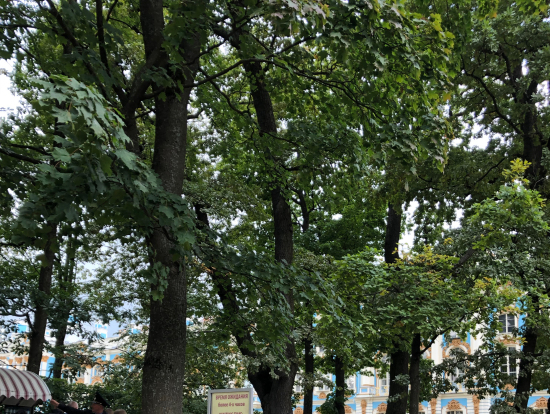 ここから4時間の看板。ツアーで入場できて本当によかった