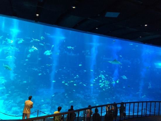 セントーサ島シーアクアリウム