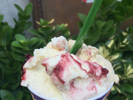 サンジミニャーノのGelateria Dondoliのジェラート