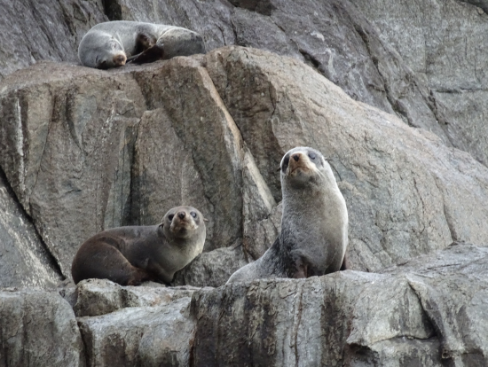 クルーズツアー２