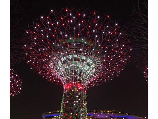 ガーデンバイザベイの光のショー