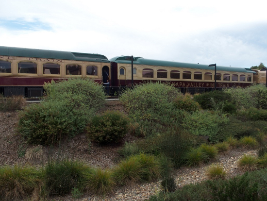 ワイントレイン