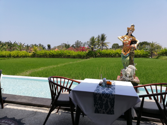 ランチのレストランです。