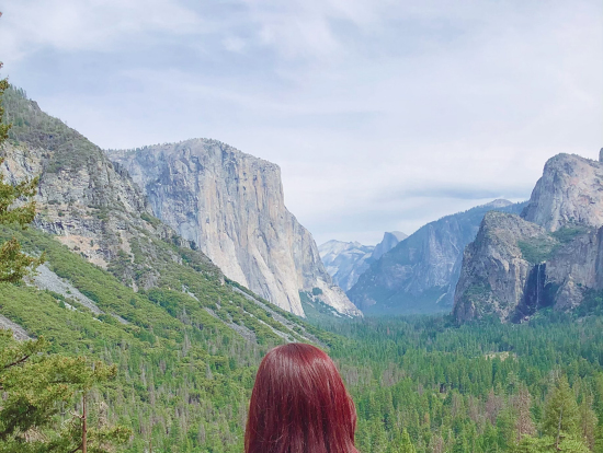 迫力ある自然の美しさに感激