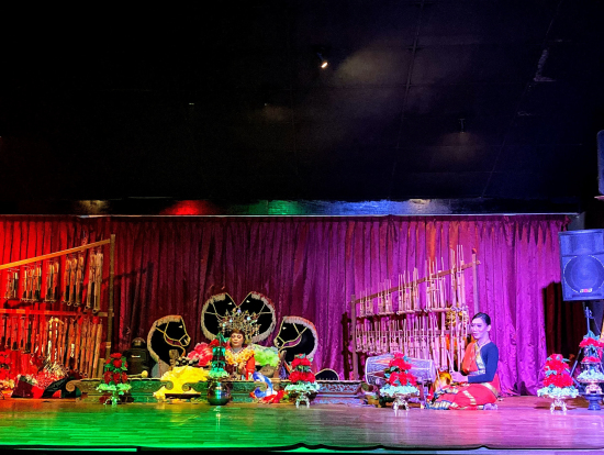 マレーシア舞踊鑑賞。10分あったかな。