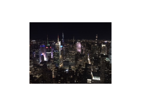 エンパイアステートビルからの夜景!