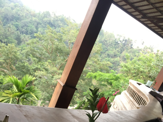 ホテルディナー