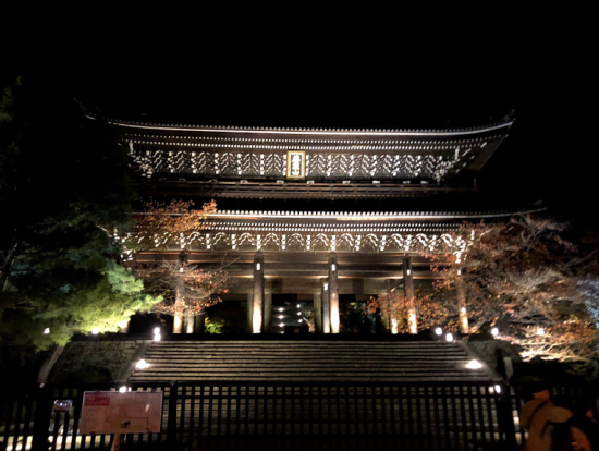 写真では伝わりにくいですが、とても大きいです。