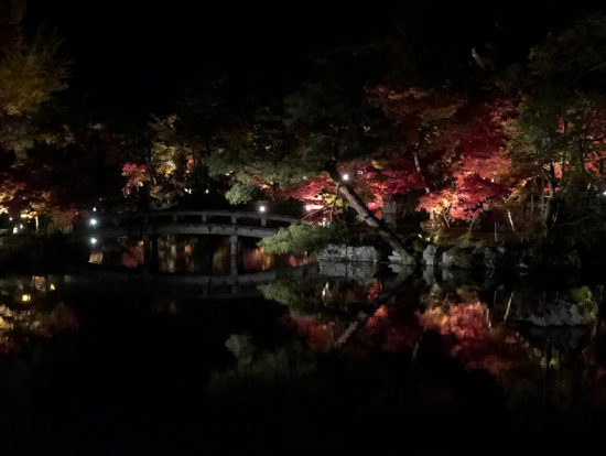 ﾗｲﾄｱｯﾌﾟがきれいでした。