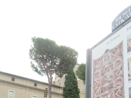 ヴァチカンのガイド　要領よく案内してくれた