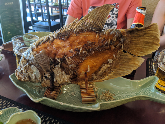 ランチタイムのメインディッシュはエレファントフィッシュ。