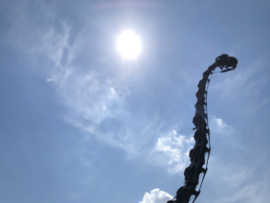 フィールド博物館の外にも恐竜が!