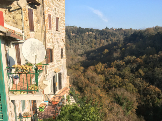 部屋からの眺め