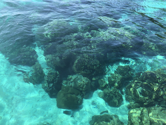 ロック島シュノーケリングポイント②