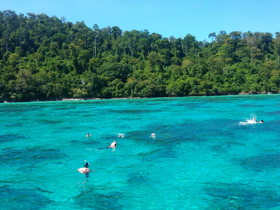 シュノーケリングのようす