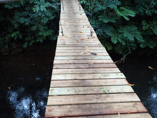 吊橋も渡ります