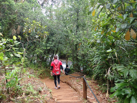 途中は少し舗装された道もあり