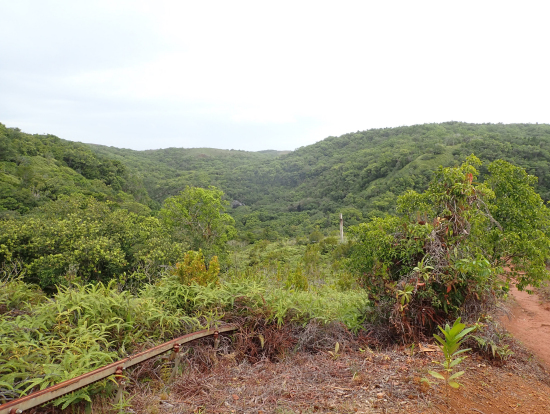 向こう側に滝が見える