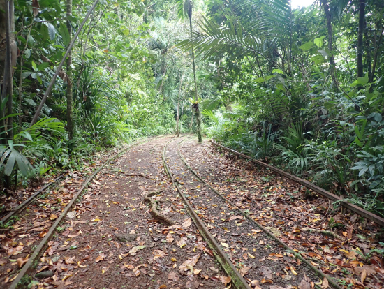 トロッコの線路のあと