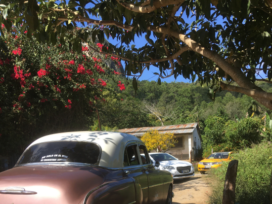 そこら中にクラシックカー