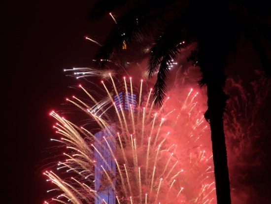 前庭から撮りましたが陣取りに後れをとり、ヤシの木が邪魔に