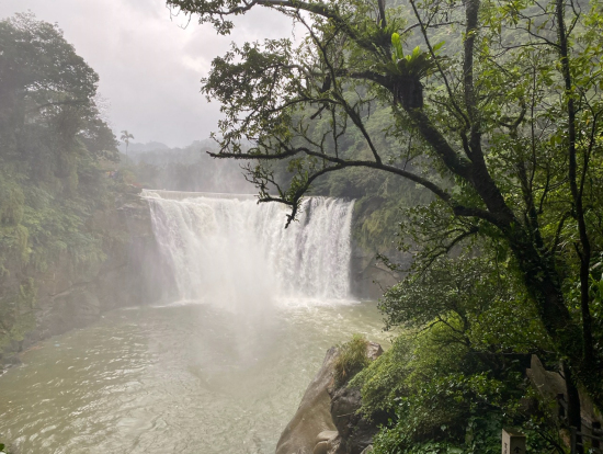 横から見ると水量がすごいです。