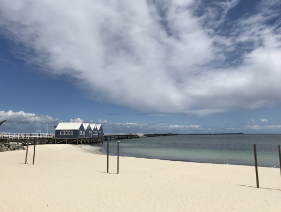 30分でトイレも済ませるので桟橋は渡ませんでした。