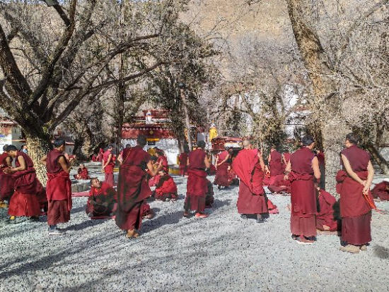 セラ寺、禅問答
