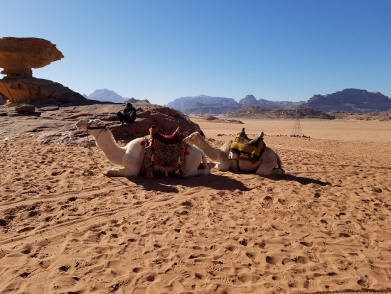 ワディ・ラム砂漠