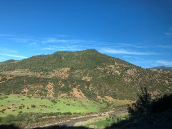 フェズを出てシャウエンへ　昨日までと違い　緑の山々