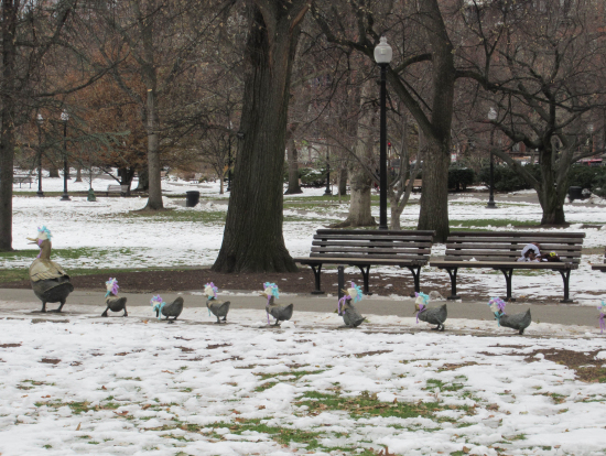 絵本にもなっている有名なあひる達